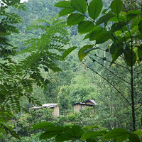 Photo de Bali - Autour de Munduk